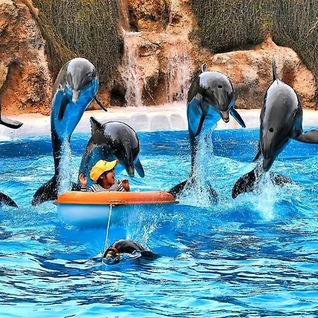 Happy Harmonia * Costa Adeje